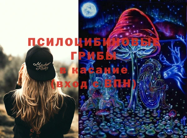 гашик Володарск