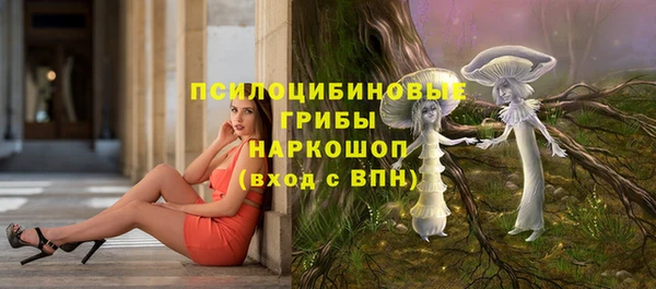 хмурый Волоколамск