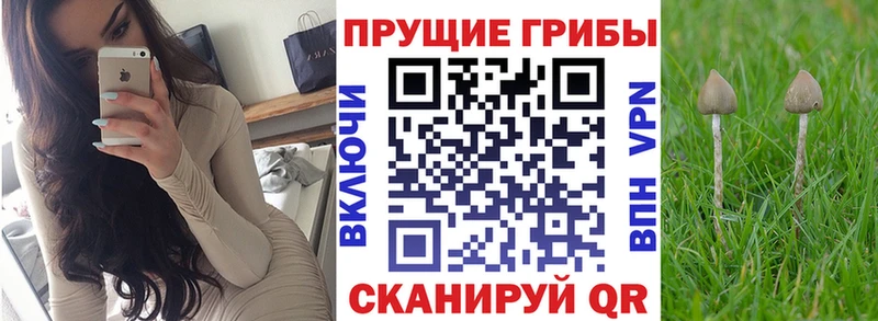Псилоцибиновые грибы Magic Shrooms  площадка наркотические препараты  Звенигород 