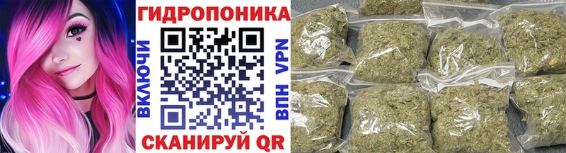 цена наркотик  Звенигород  даркнет Telegram  Марихуана гибрид  кракен маркетплейс 